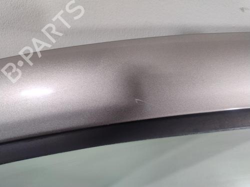 Left front door RENAULT CLIO III (BR0/1, CR0/1) 1.5 dCi | BP28802507C2 