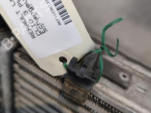 Used Other Other RENAULT CLIO III (BR0/1, CR0/1) 1.5 dCi (75 hp) 33727230 33727230