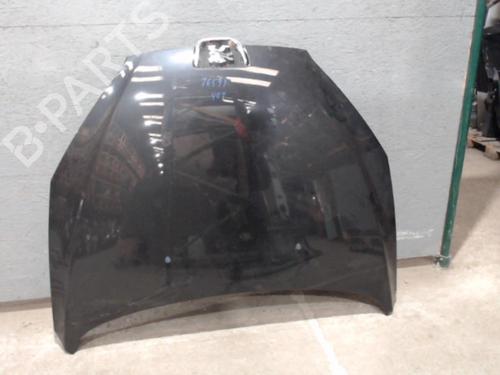 hood-peugeot-407-coupe-6c_-2005-24082756 main image