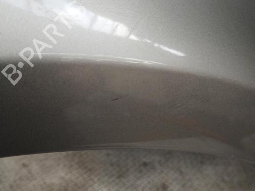 Right front fenders RENAULT CLIO III (BR0/1, CR0/1) 1.5 dCi | BP28685302C42