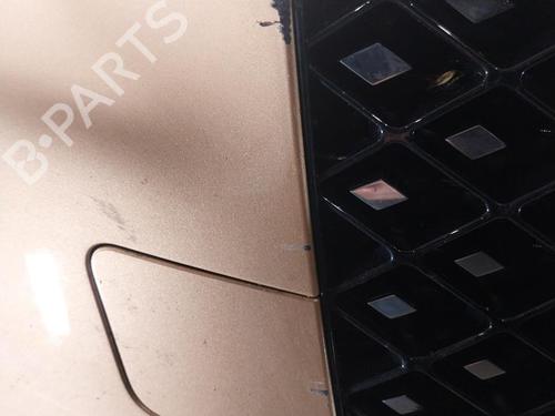 Used Front bumper Front bumper DS DS 4 II (FR_, FB_, F3_, FP_) BlueHDi 130 (FBYHZT) (130 hp) 24096049 24096049