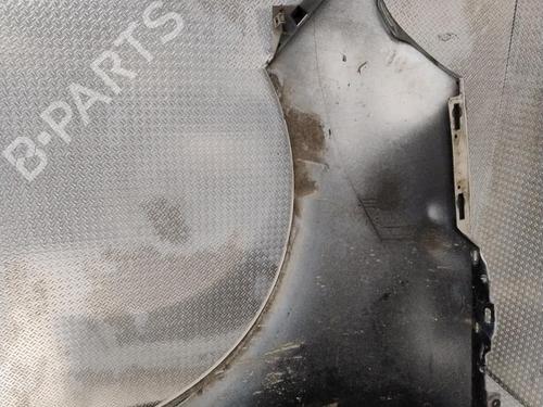Right front fenders RENAULT SCÉNIC III (JZ0/1_) 1.5 dCi | BP25703941C42
