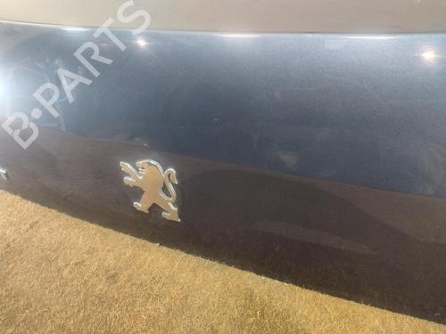 Used Tailgate PEUGEOT 607 (9D, 9U) 2.0 HDI (136 hp) 30892818