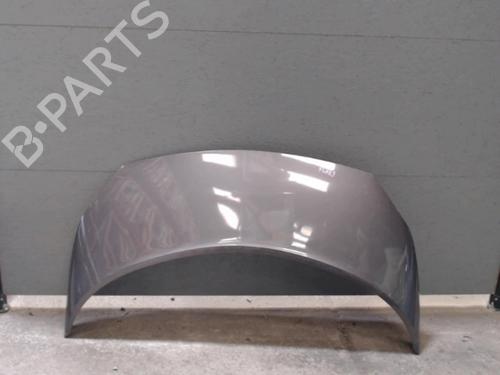 Used Hood RENAULT SCÉNIC II (JM0/1_) 1.5 dCi (JM02, JM13) (101 hp) 24071626