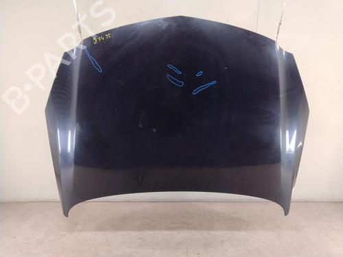 Hood OPEL INSIGNIA A Sports Tourer (G09) 2.0 CDTI (35) | BP25704233C1