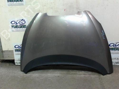 Used Hood SEAT TOLEDO III (5P2) 2.0 TDI 16V (140 hp) 24069875