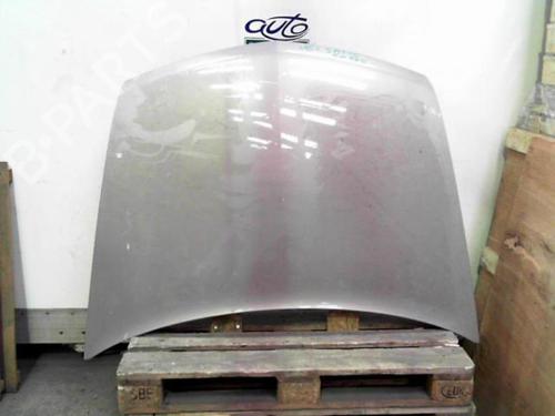 Motorhjelm RENAULT VEL SATIS (BJ0_) 2.2 dCi (BJ0E, BJ0F) (150 hp) 24061505