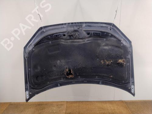 Hood VW POLO IV (9N_, 9A_) 1.4 TDI | BP29757573C1 
