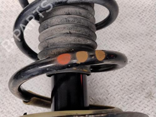 Left front shock absorber RENAULT KANGOO Express (FW0/1_) 1.5 dCi 95 (FW16) | BP24919336M16 