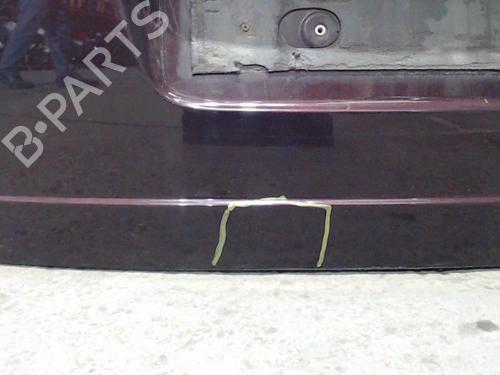 Used Tailgate FORD C-MAX (DM2) 1.8 TDCi (115 hp) 24101448