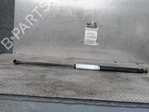Gassdemper Bakluke CITROËN XSARA PICASSO (N68) 2.0 HDi (90 hp) 25704388