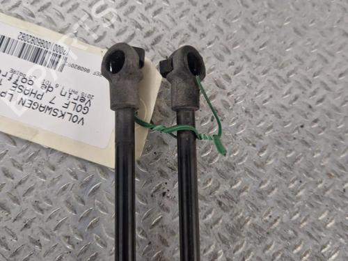 Used Tailgate lift support VW GOLF VII (5G1, BQ1, BE1, BE2) 1.6 TDI (105 hp) 24096832