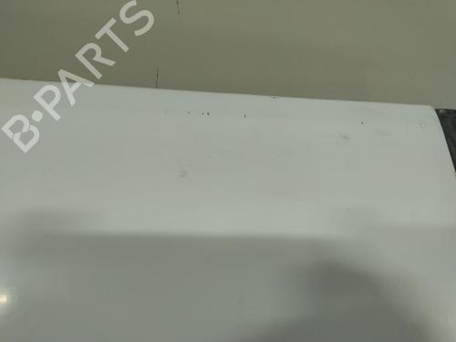 Left tailgate FIAT DUCATO Van (230_) 2.5 D | BP27581562C76 