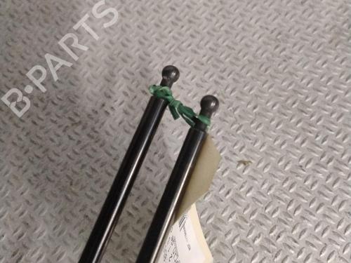 Used Hood lift support DS DS 4 II (FR_, FB_, F3_, FP_) BlueHDi 130 (FBYHZT) (130 hp) 31266093