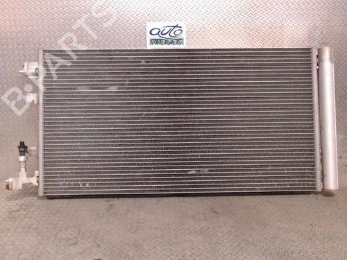 Used Heater matrix Heater matrix RENAULT SCÉNIC III (JZ0/1_) 1.6 16V (JZ0U, JZ1B) (110 hp) 24096102 24096102