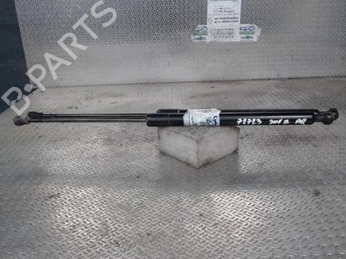 Used Tailgate lift support PEUGEOT 308 SW II (LC_, LJ_, LR_, LX_, L4_) 1.6 HDi / BlueHDi 115 (LCBHXM, LCBHXT) (115 hp) 24075626