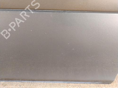 Left front door RENAULT CLIO III (BR0/1, CR0/1) 1.5 dCi | BP28802507C2 