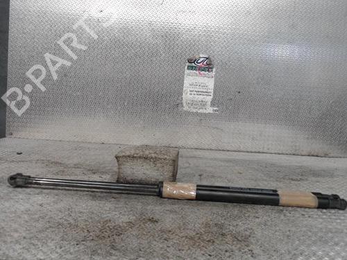 Used Tailgate lift support NISSAN QASHQAI / QASHQAI +2 I (J10, NJ10, JJ10E) 2.0 dCi All-wheel Drive (150 hp) 24091752