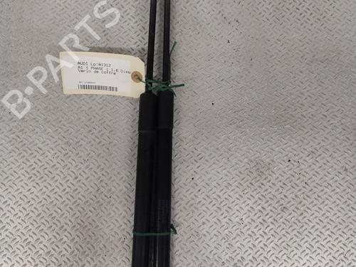 Tailgate lift support AUDI A1 (8X1, 8XK) 1.6 TDI | BP25703407C138 