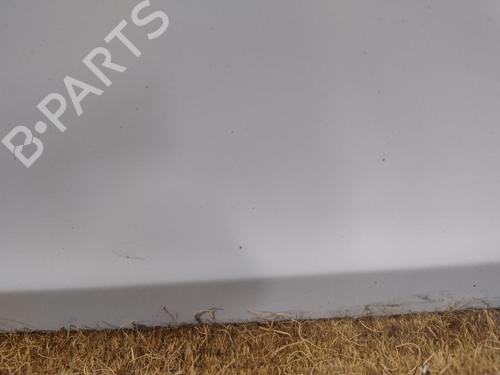 Right front door RENAULT CLIO III (BR0/1, CR0/1) 1.5 dCi | BP30403711C3