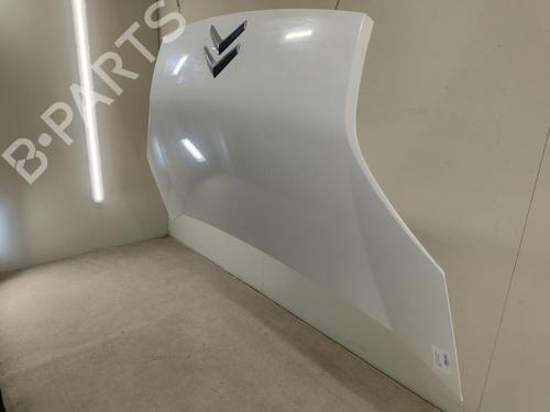 Used Hood CITROËN NEMO Box Body/MPV (AA_) 1.4 HDi (68 hp) 27621394