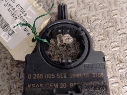 Used Steering column stalk CITROËN C5 III (RD_) 2.0 HDi 140 (RDRHF8, RDRHFA, RDRHA8, RDRHAJ) (140 hp) 32037751