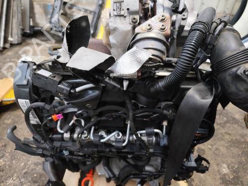 Used Engine Engine VW GOLF VII (5G1, BQ1, BE1, BE2) 1.6 TDI (105 hp) 33031354 33031354
