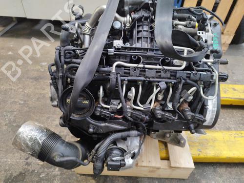 Engine SEAT IBIZA IV (6J5, 6P1) 1.6 TDI | BP29845366M1