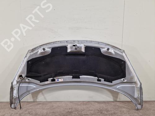 hood-peugeot-207-wa_-wc_-2006-2007-2008-2009-2010-2011-2012-2013-2014-2015-24094808 main image