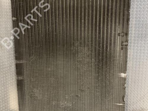 Used Water radiator Water radiator RENAULT KANGOO / GRAND KANGOO II (KW0/1_) 1.6 16V (KW03, KW09, KW0D, KW0U, KW0W, KW13) (106 hp) 26314976 26314976