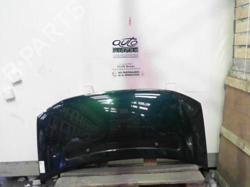 Used Hood VW TRANSPORTER T4 Van (70A, 70H, 7DA, 7DH) 1.9 TD (68 hp) 24061034
