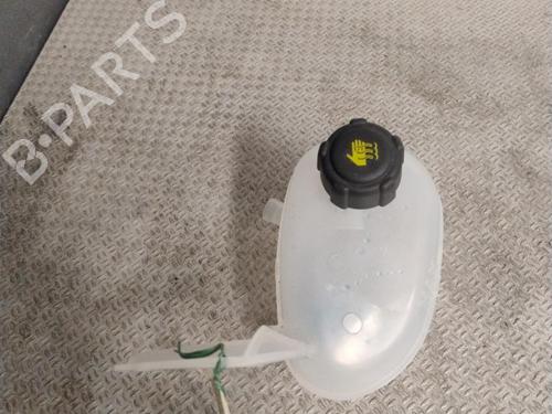Used Expansion tank Expansion tank RENAULT SCENIC E-TECH PHASE I EV87 (218 hp) 36462296 36462296