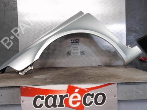 Used Left front fenders RENAULT LAGUNA II (BG0/1_) 1.9 dCI (BG0E) (105 hp) 24084341