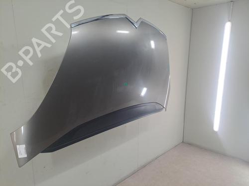 Hood CITROËN C4 Picasso I MPV (UD_) 1.6 HDi | BP24576772C1 