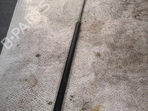 Hood lift support AUDI A3 (8P1) 2.0 TDI 16V | BP24099031C139