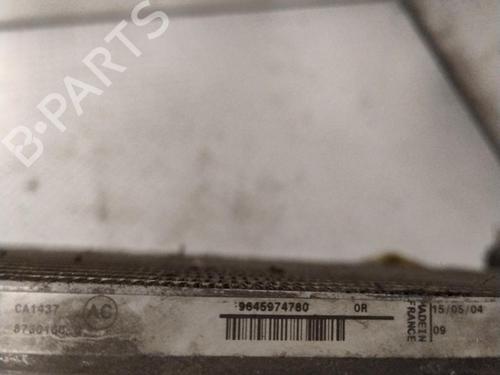 Used Heater matrix Heater matrix CITROËN BERLINGO / BERLINGO FIRST MPV (MF_, GJK_, GFK_) 1.6 16V (MFNFU) (109 hp) 26314981 26314981