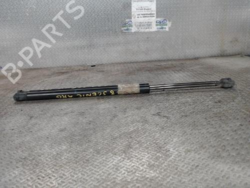 Used Tailgate lift support RENAULT SCÉNIC II (JM0/1_) 1.5 dCi (JM02, JM13) (101 hp) 24081386