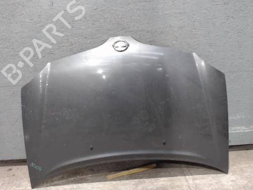 Used Hood NISSAN ALMERA TINO (V10) 2.2 dCi (112 hp) 24091063