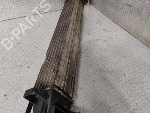 Used Intercooler Intercooler RENAULT GRAND SCÉNIC III (JZ0/1_) 1.5 dCi (JZ09, JZ0D, JZ10, JZ14, JZ1G, JZ29, JZ2C) (110 hp) 32307959 32307959
