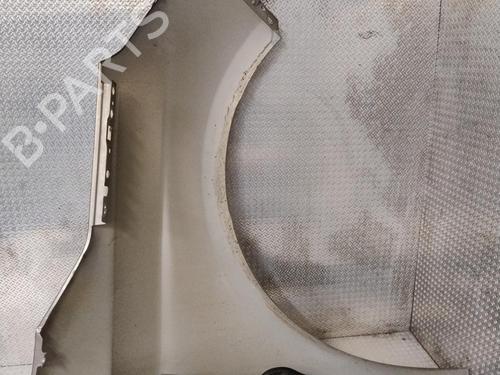 Left front fenders CITROËN C4 II (NC_) 1.6 HDi 90 | BP29170525C41 