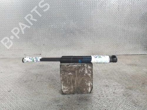 Used Hood lift support RENAULT GRAND SCÉNIC IV (R9_) 1.7 Blue dCi 120 (R9A7, R9A8) (120 hp) 24074425