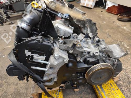 Motor FORD FIESTA VI (CB1, CCN) 1.5 TDCi (75 hp) 33031341