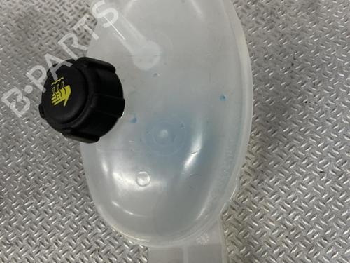 expansion-tank-renault-master-iii-van-fv-2010-37038907 main image