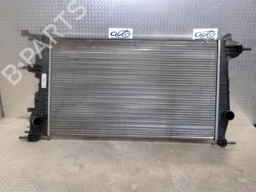 Used Water radiator RENAULT SCÉNIC III (JZ0/1_) 1.5 dCi (110 hp) 24080876