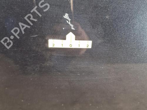 Right front door RENAULT CLIO III (BR0/1, CR0/1) 1.2 16V (BR02, BR0J, BR11, CR02, CR0J, CR11) | BP24060764C3 