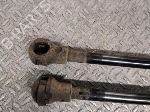 Used Tailgate lift support RENAULT SCÉNIC III (JZ0/1_) 1.6 dCi (JZ00, JZ12) (130 hp) 31055096