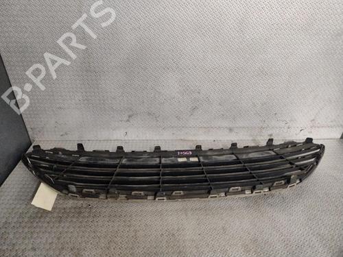 grille-ford-fiesta-vi-cb1-ccn-2008-31266292 main image