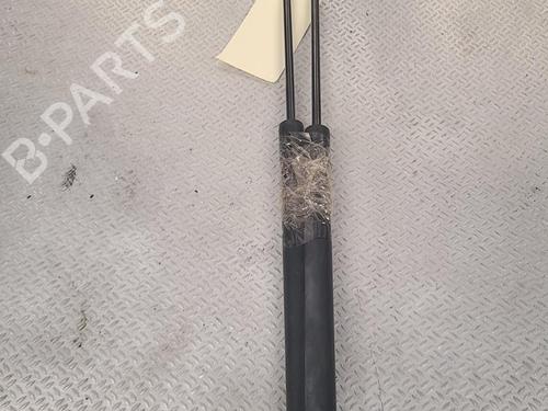 Tailgate lift support DACIA SANDERO II TCe 90 (B8M1, B8MA, B8AC) | BP25703381C138