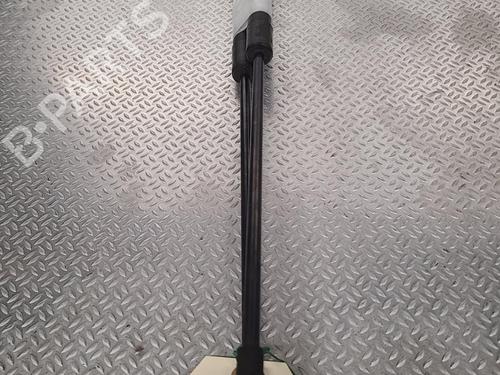 Tailgate lift support TOYOTA PRIUS (_W3_)  | BP26304342C138