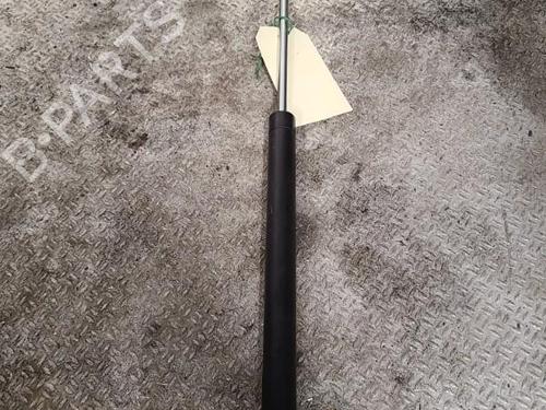 Used Tailgate lift support RENAULT TWINGO I (C06_) 1.2 (C066, C068) (58 hp) 24098479